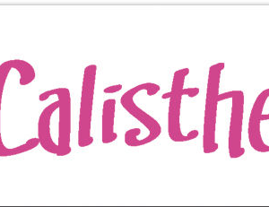 I ❤️ Calisthenics Sticker